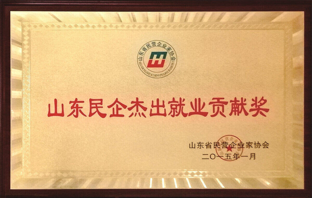 山東民企杰出就業(yè)貢獻(xiàn)獎(jiǎng)
